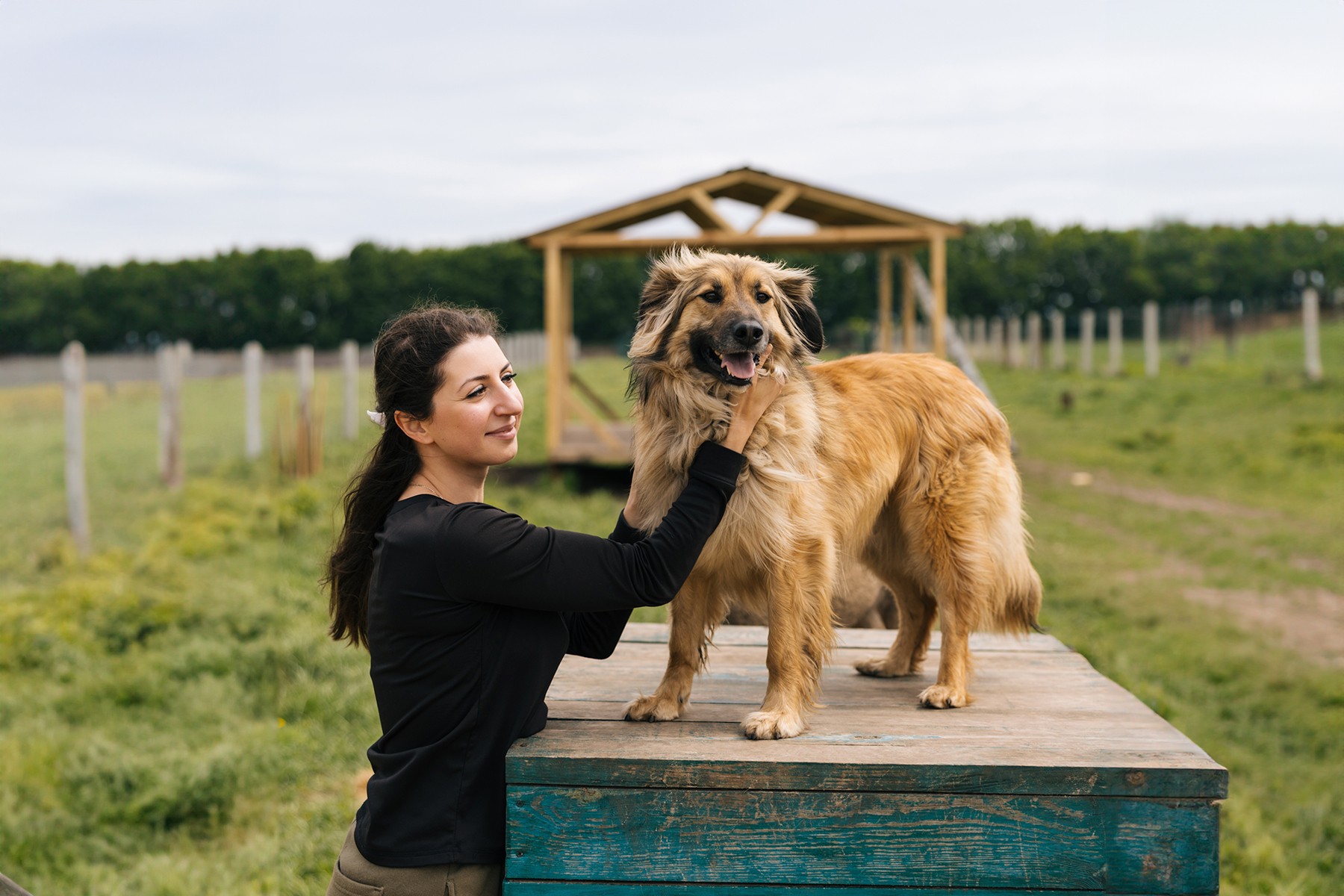 Притулок "Розбуди своє серце"